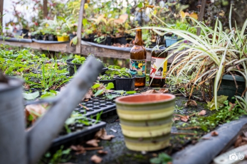 photoreportage-maraichage-Toucane©lephotographeambulant-47