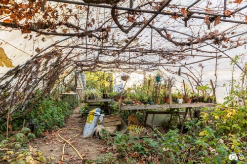 photoreportage-maraichage-Toucane©lephotographeambulant-48