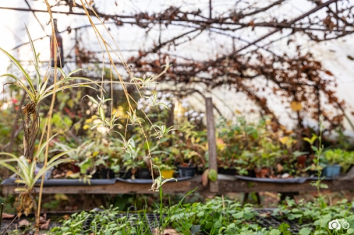 photoreportage-maraichage-Toucane©lephotographeambulant-49